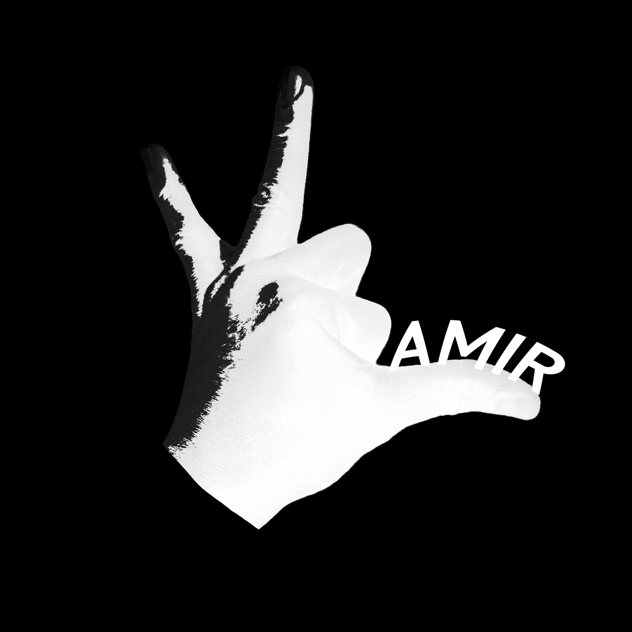 VL'AMIR